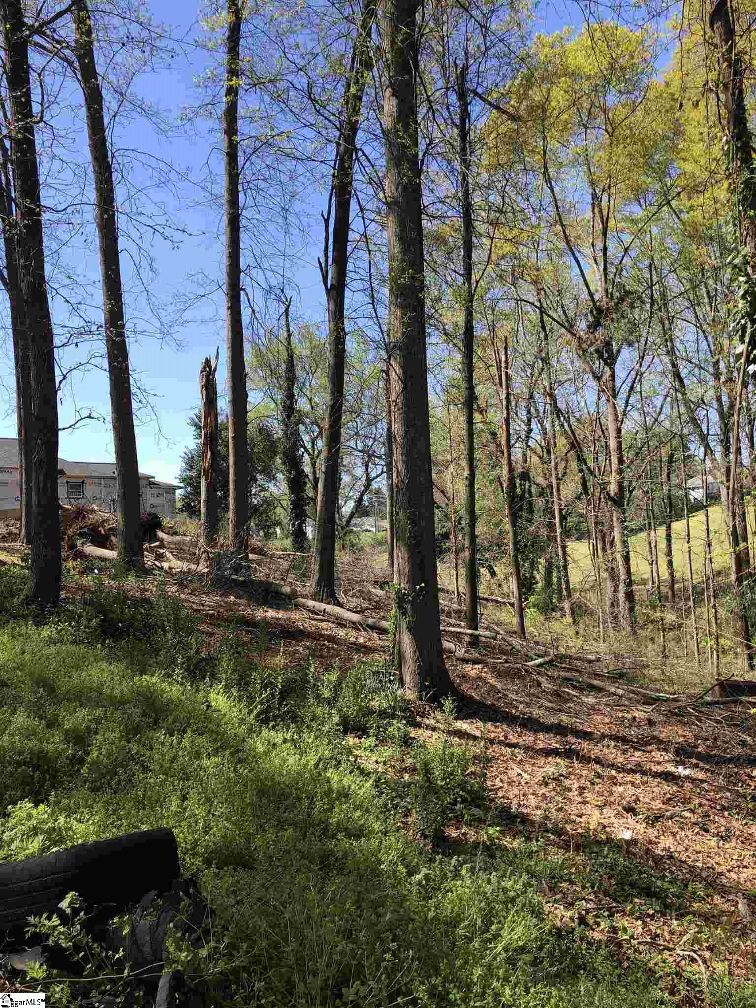 211 Green Street Greer, SC 29650 - Photo 5 of 5 Gallery Image 5