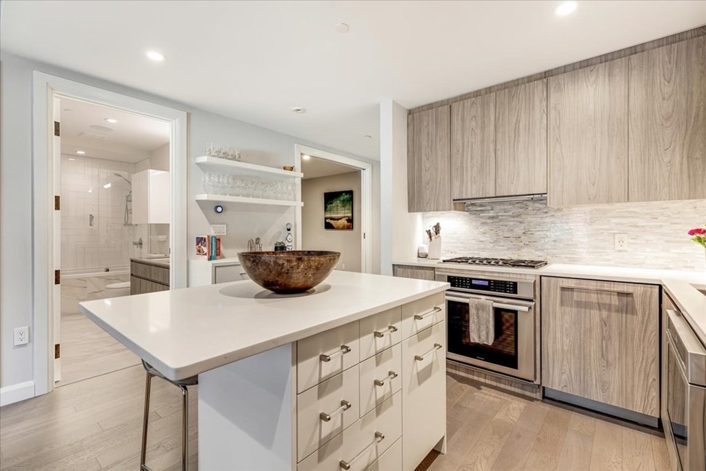 140 Shawmut Avenue, Unit 3B Boston, MA 02118 - Photo 3 of 20