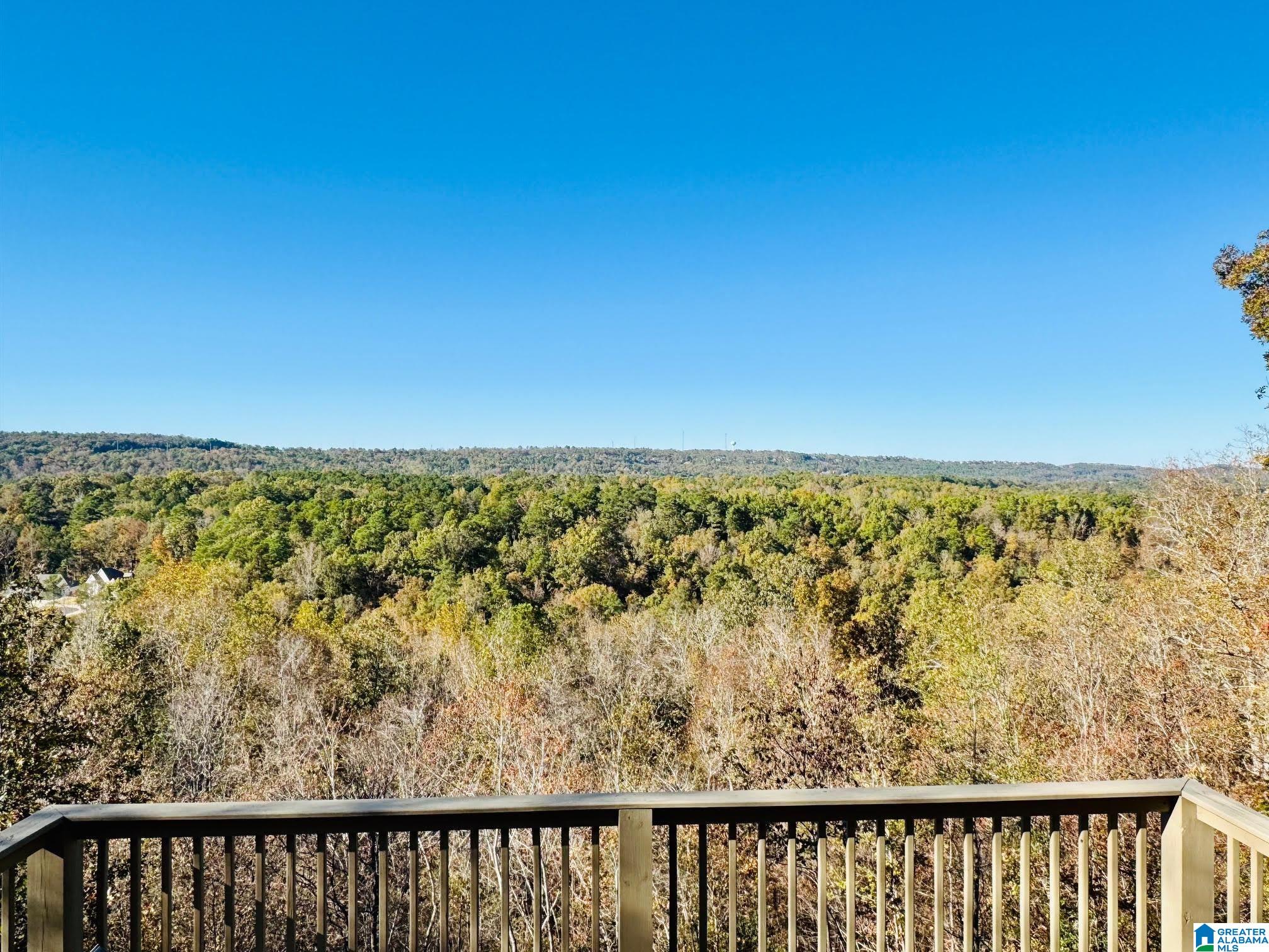 456 Conroy Circle Sterrett, AL 35147 - Photo 79 of 81