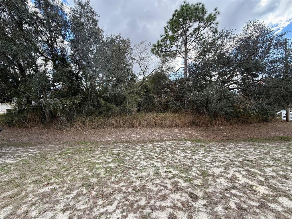 0 Centralia Road Weeki Wachee, FL 34614 - Photo 1 of 8 Gallery Image 1
