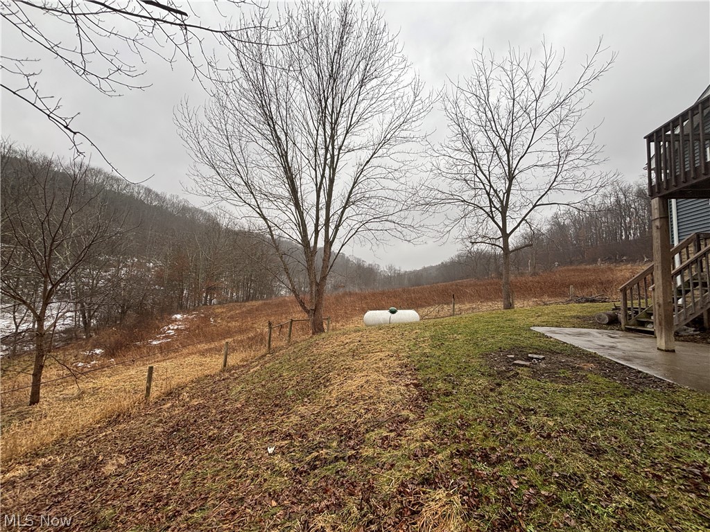 4301 Steubenville Road Southeast Amsterdam, OH 43903 - Photo 27 of 27 yard