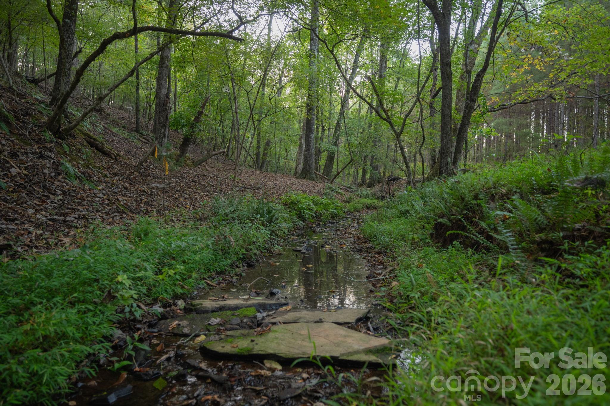1619 Ellis Belk Road Monroe, NC 28112 - Photo 37 of 47 a view of a green field with lots of bushes
