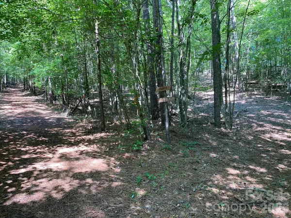 $4,000,000 | 1619 Ellis Belk Road, Monroe, NC 28112