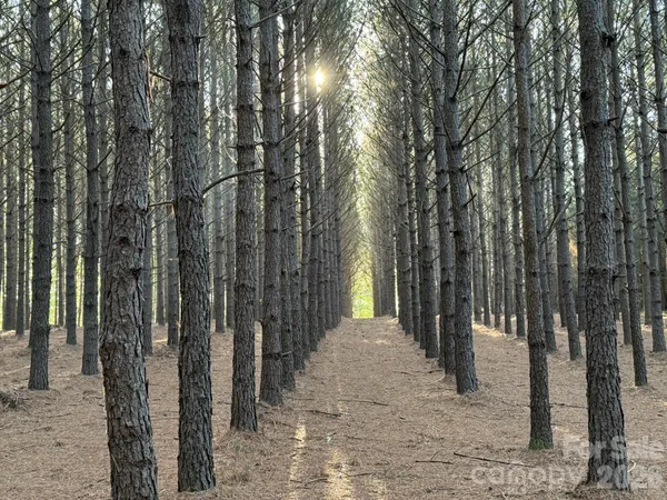 $4,000,000 | 1619 Ellis Belk Road, Monroe, NC 28112