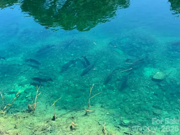 $4,000,000 | 1619 Ellis Belk Road, Monroe, NC 28112