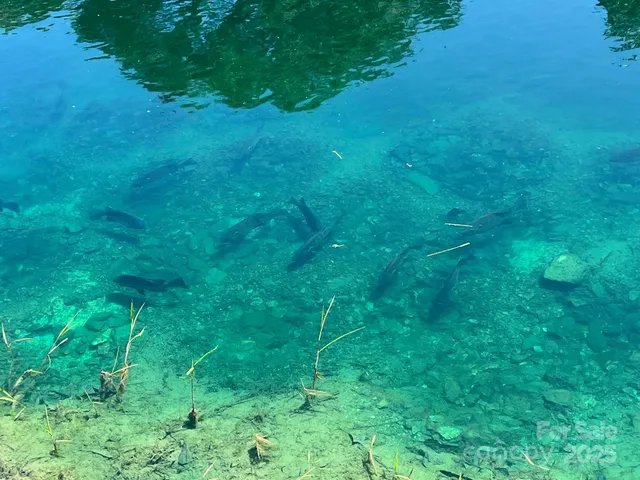 a view of boat floating on water