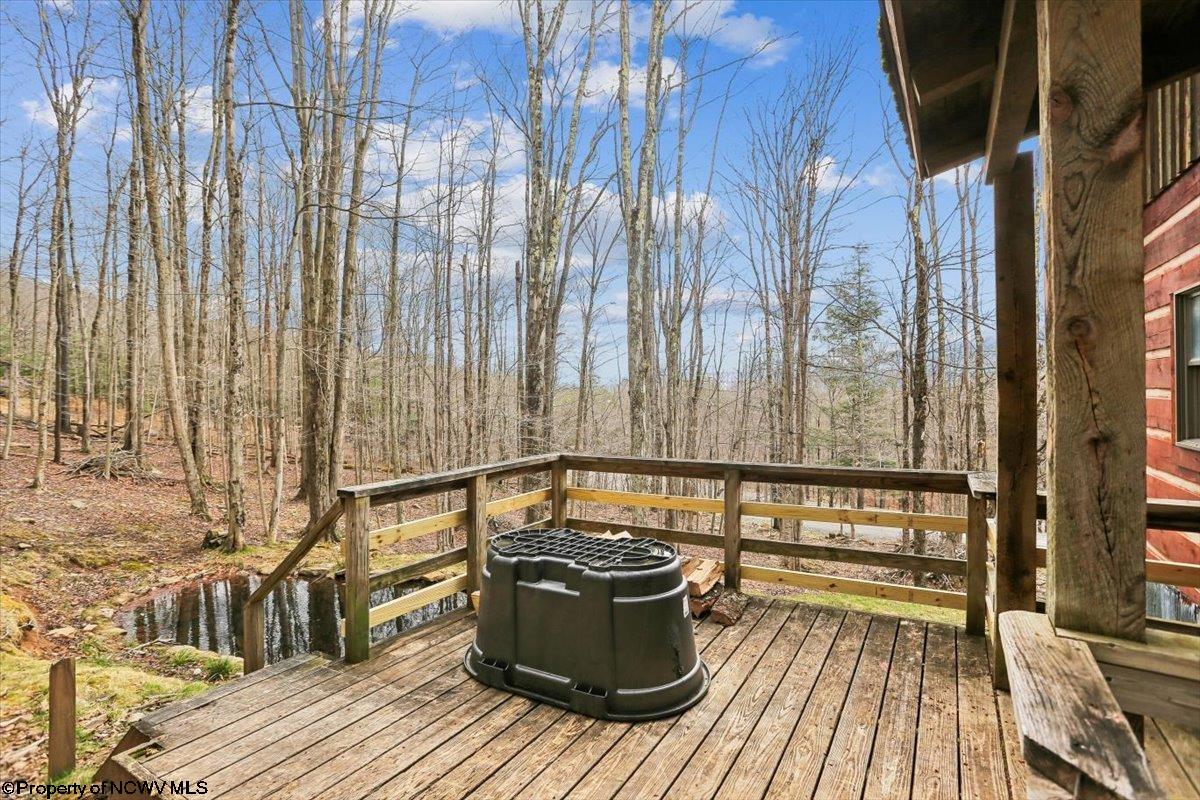 54 Cabin Mountain Road Davis, WV 26260 - Photo 31 of 48 Gallery Image 31