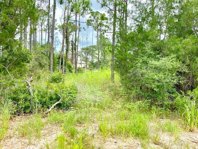 328 Howell Street Eastpoint, FL 32328 - Photo 3 of 26