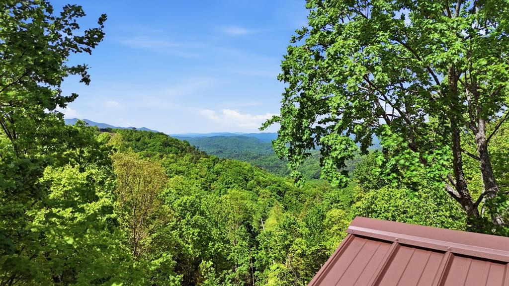 231 Ridge View Drive Andrews, NC 28901 - Photo 55 of 58