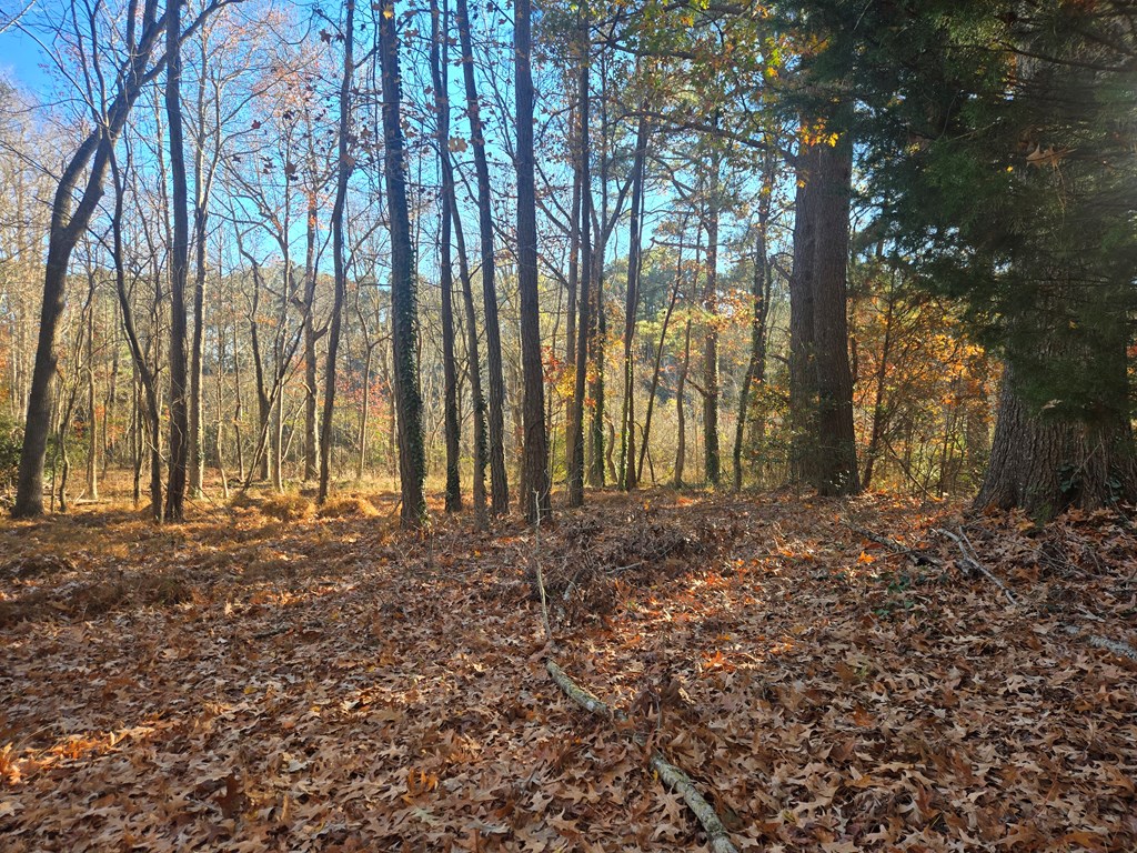 8396 Wellington Neck Road, Unit 14 Franktown, VA 23354 - Photo 2 of 3
