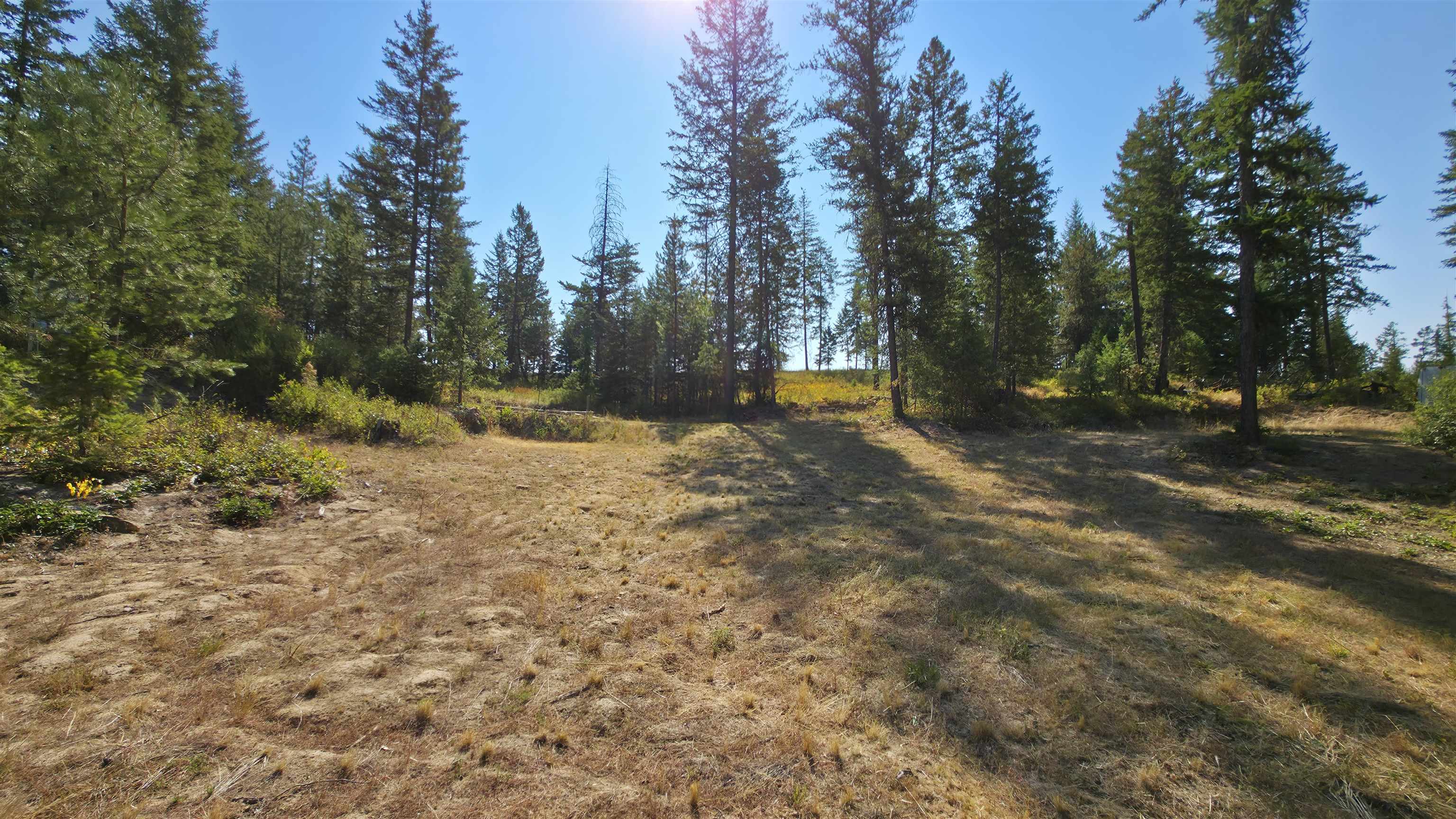 5249 D Olinger Road Springdale, WA 99173 - Photo 12 of 34