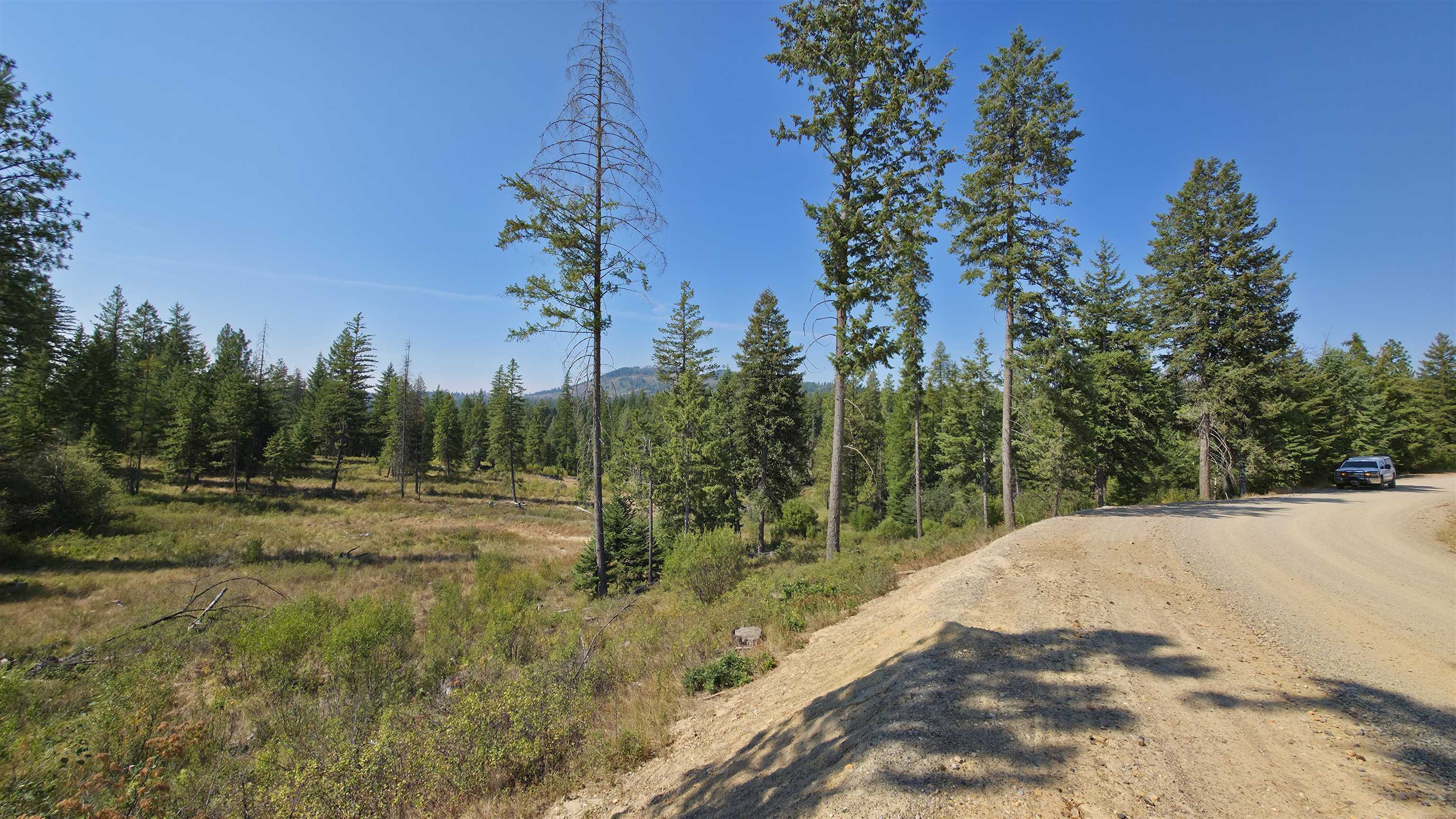 5249 D Olinger Road Springdale, WA 99173 - Photo 20 of 34