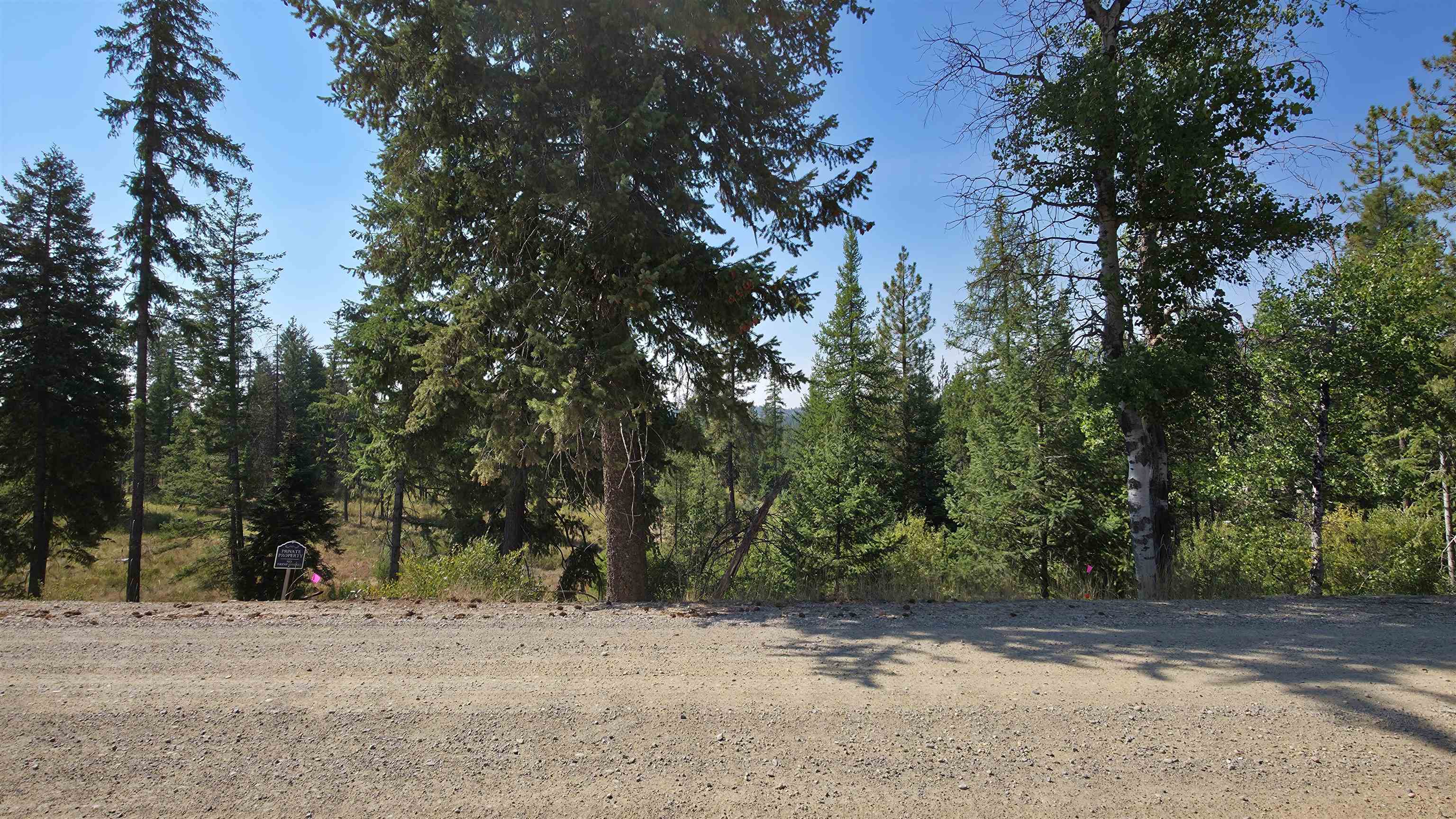 5249 D Olinger Road Springdale, WA 99173 - Photo 21 of 34