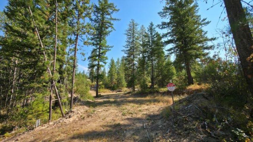 5249 D Olinger Road Springdale, WA 99173 - Photo 22 of 34
