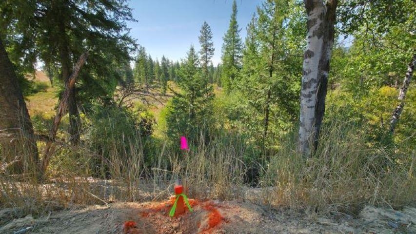 5249 D Olinger Road Springdale, WA 99173 - Photo 24 of 34