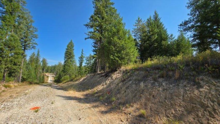 5249 D Olinger Road Springdale, WA 99173 - Photo 26 of 34