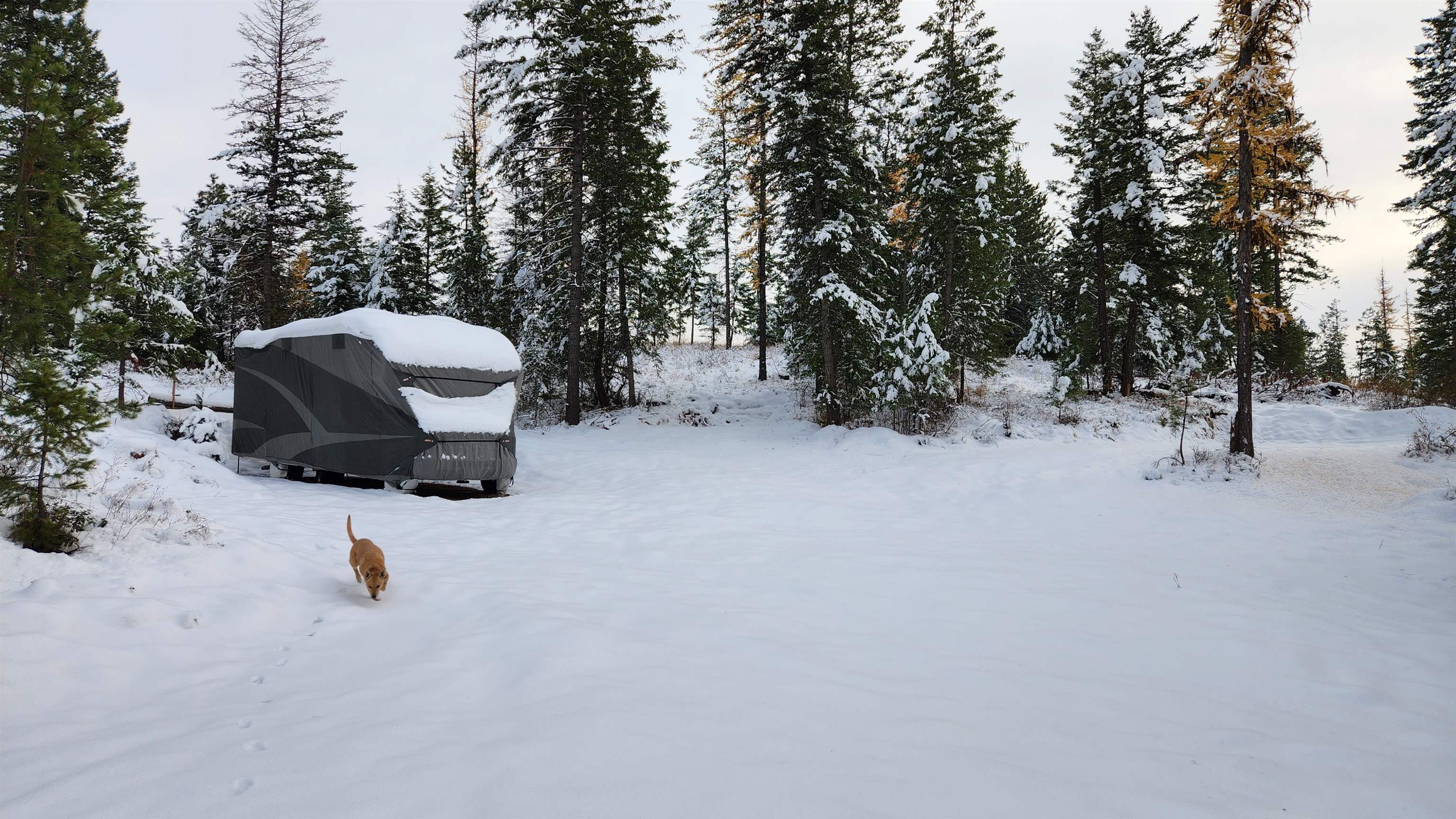 5249 D Olinger Road Springdale, WA 99173 - Photo 30 of 34