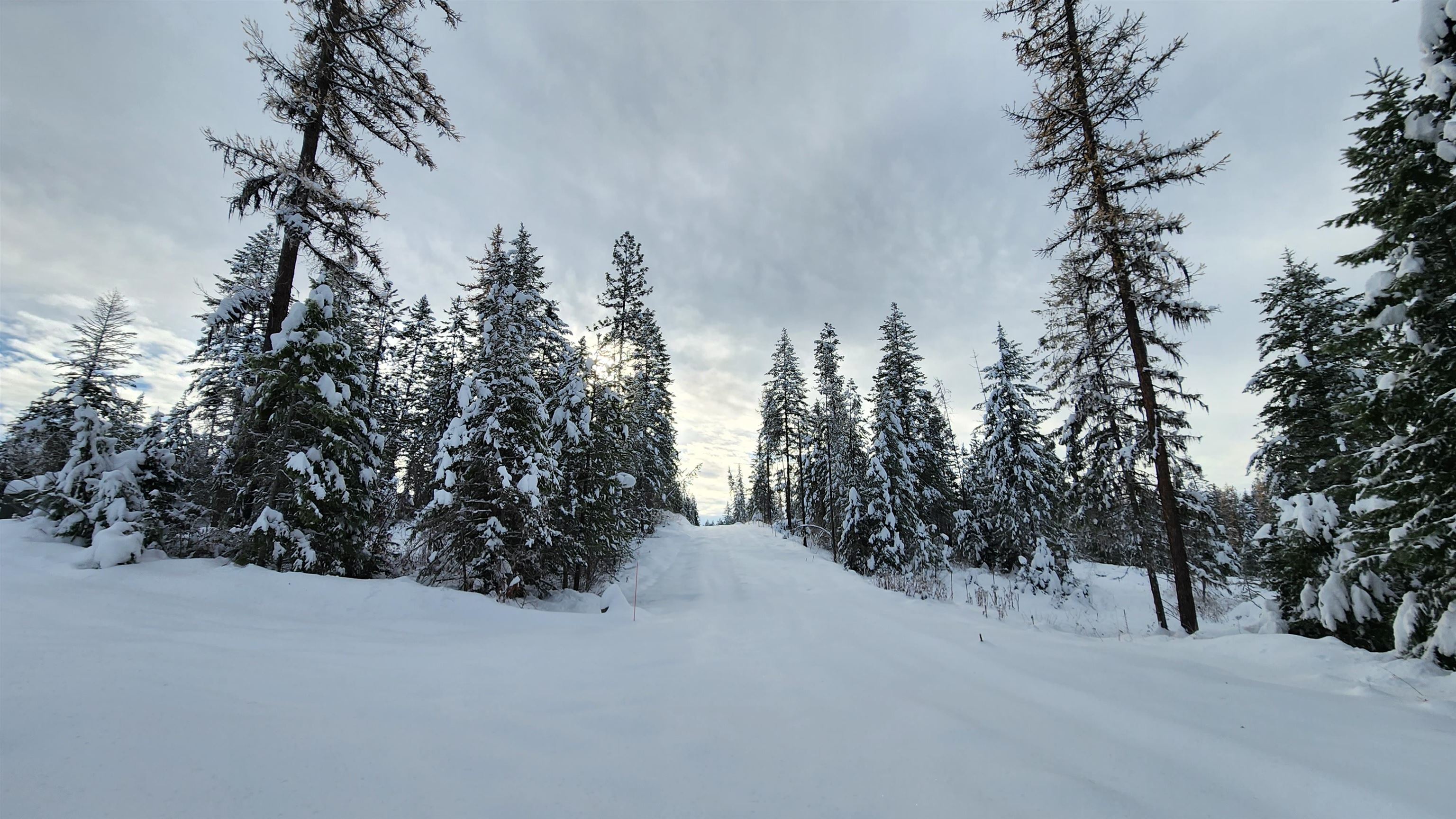 5249 D Olinger Road Springdale, WA 99173 - Photo 31 of 34