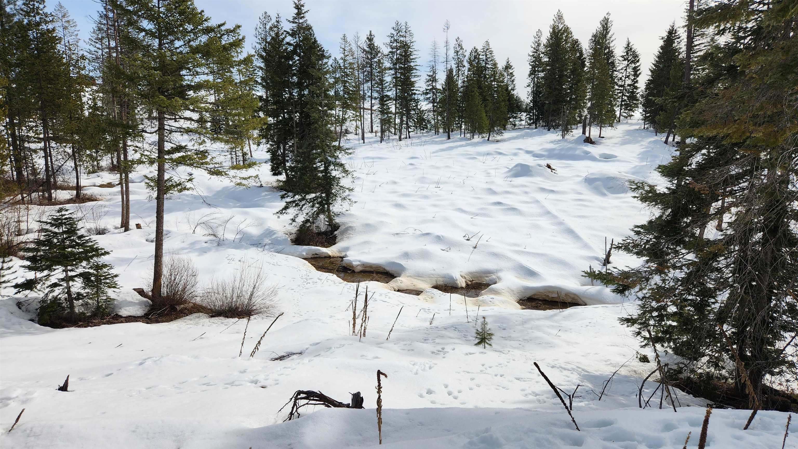 5249 D Olinger Road Springdale, WA 99173 - Photo 32 of 34