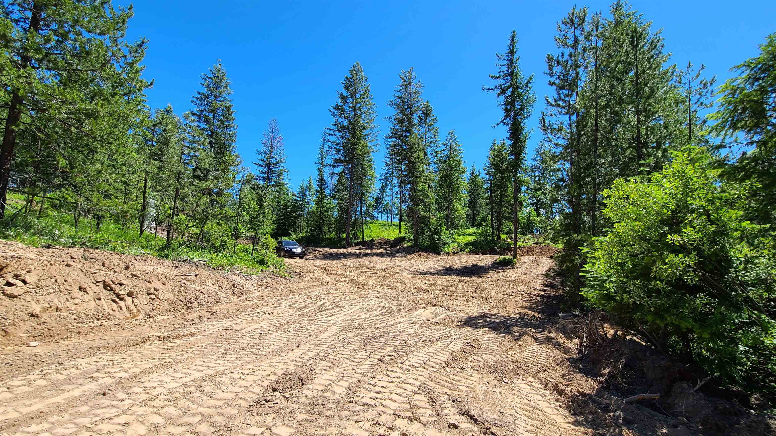 5249 D Olinger Road Springdale, WA 99173 - Photo 4 of 34