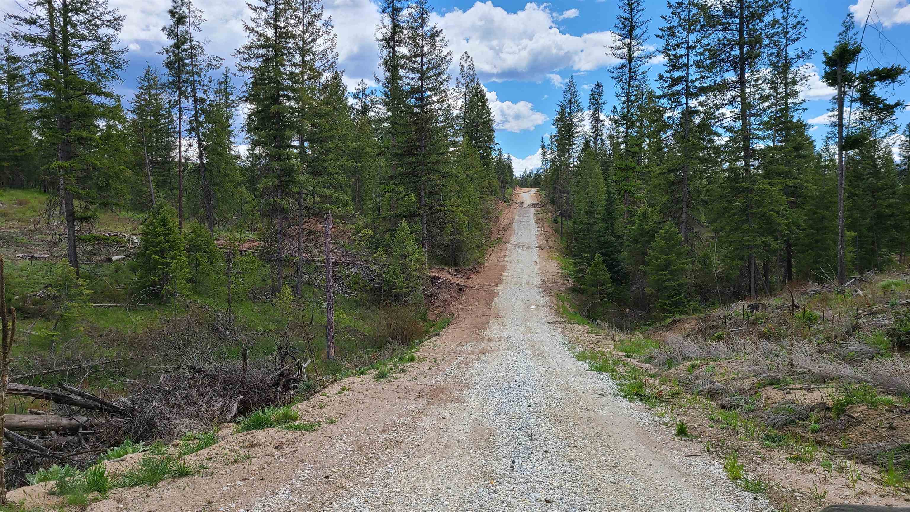 5249 D Olinger Road Springdale, WA 99173 - Photo 5 of 34