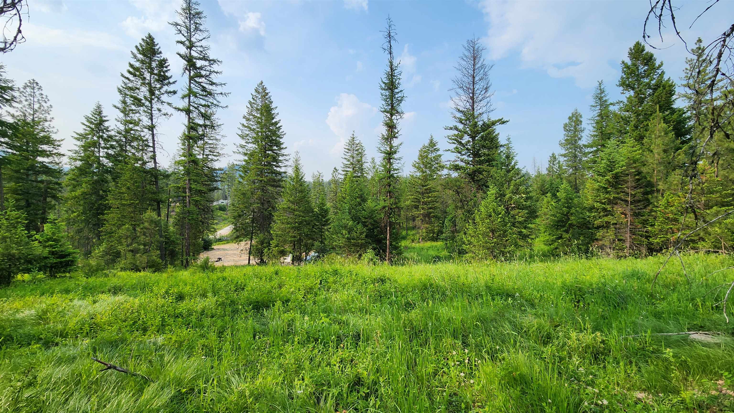 5249 D Olinger Road Springdale, WA 99173 - Photo 9 of 34