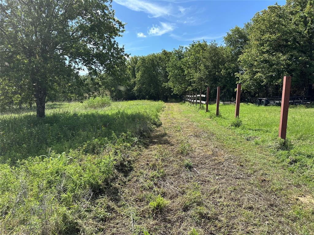 570 Big Salty Lane Springtown, TX 76082 - Photo 25 of 36 Grassed pathway bordered by mature trees and a partial wooden fence