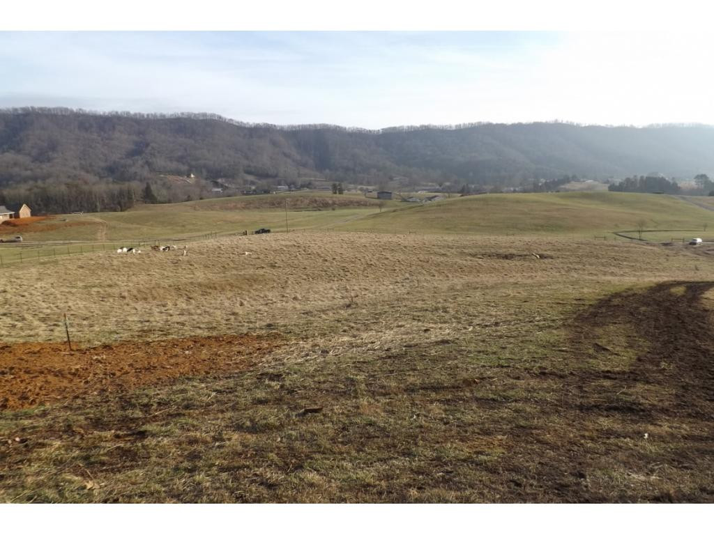 238 Simpson Road Church Hill, TN 37642 - Photo 5 of 23 Photo 5