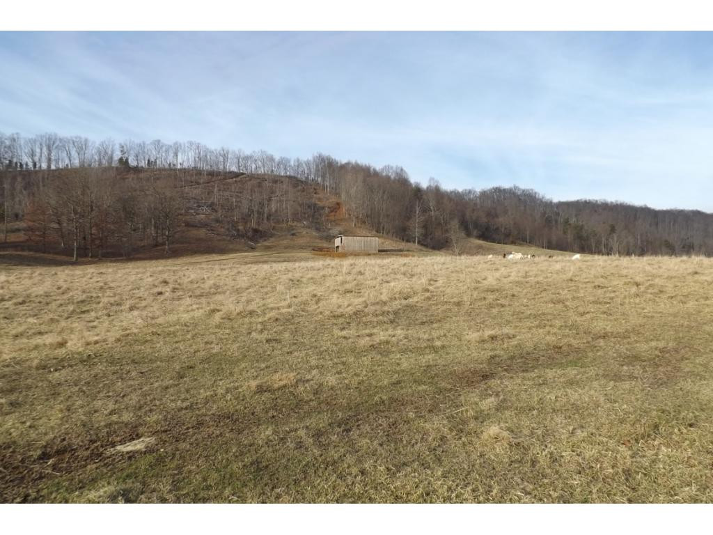 238 Simpson Road Church Hill, TN 37642 - Photo 7 of 23 Photo 7