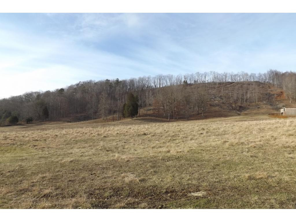 238 Simpson Road Church Hill, TN 37642 - Photo 8 of 23 Photo 8