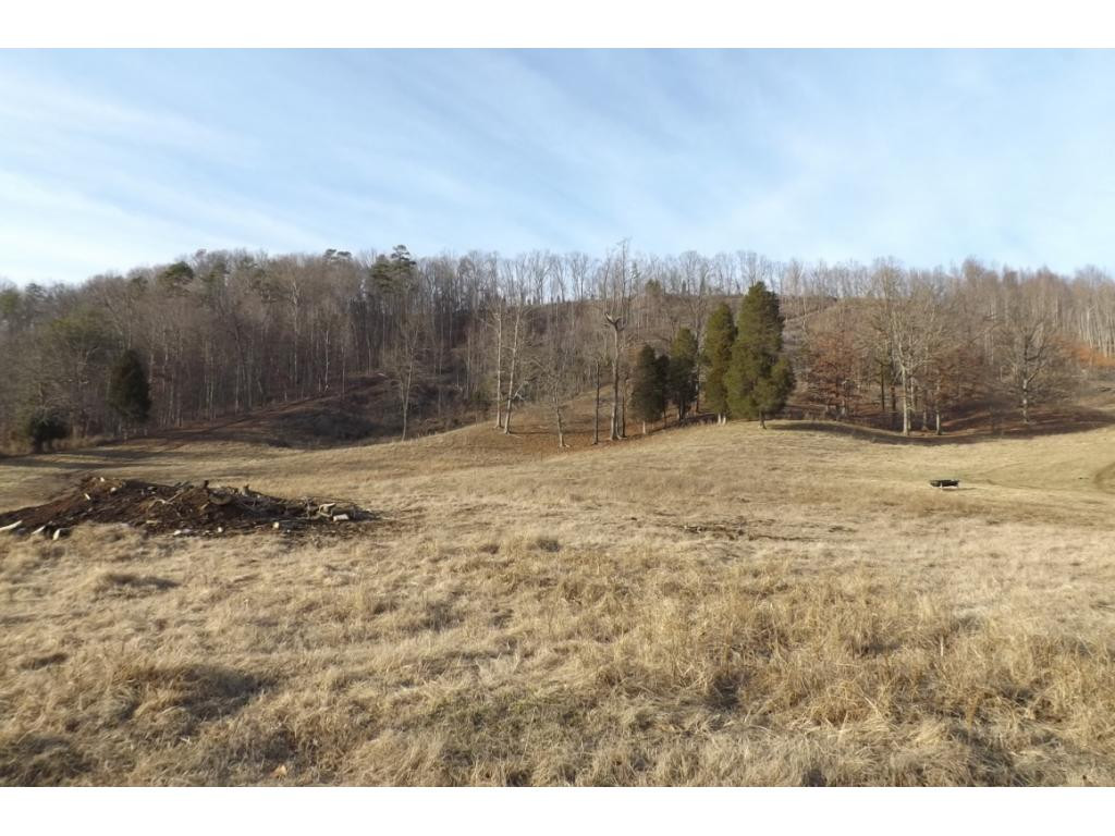 238 Simpson Road Church Hill, TN 37642 - Photo 9 of 23 Photo 9