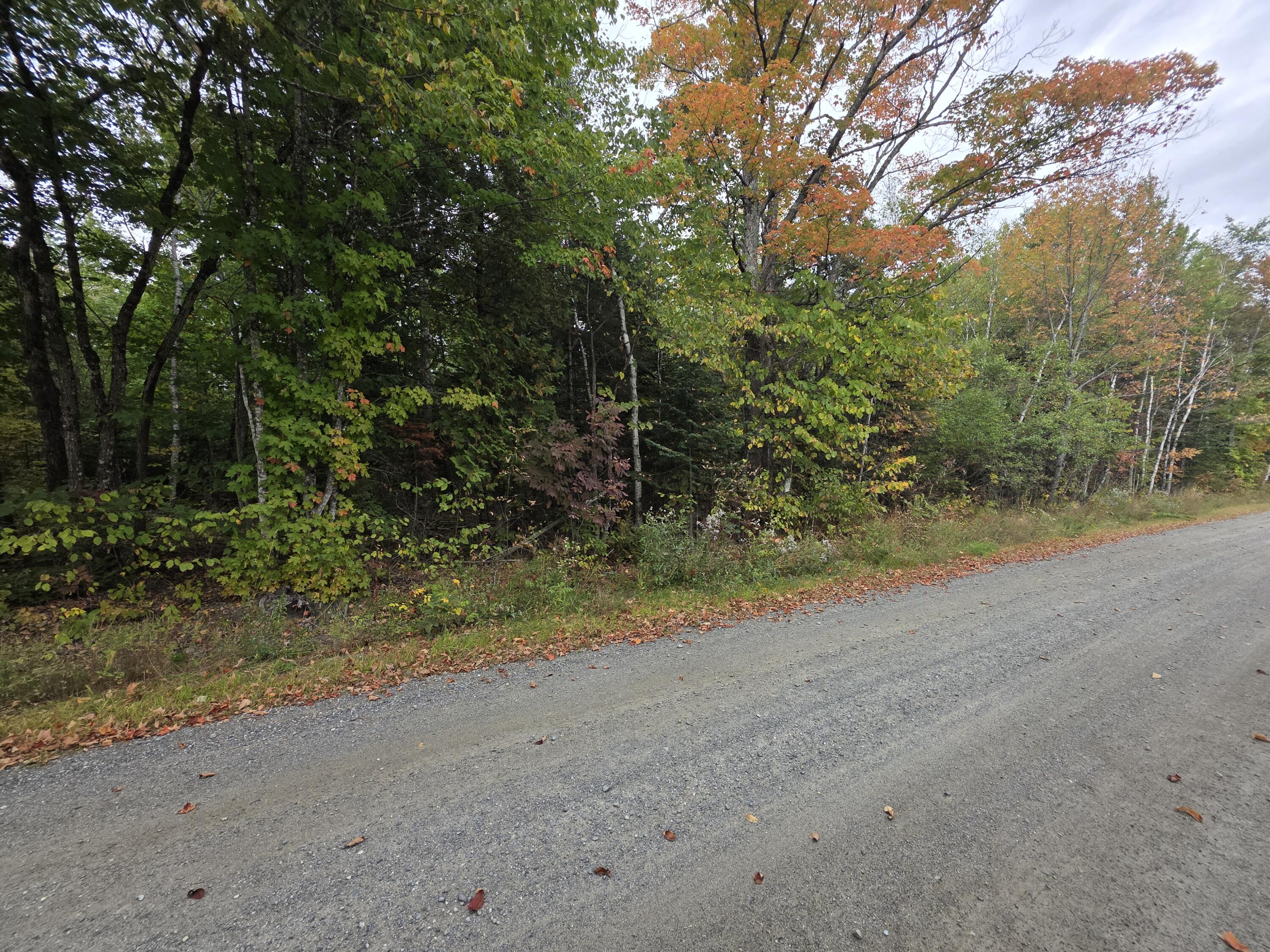 Tbd Stickney Road Wellington, ME 04942 - Photo 6 of 7 20260917_141800