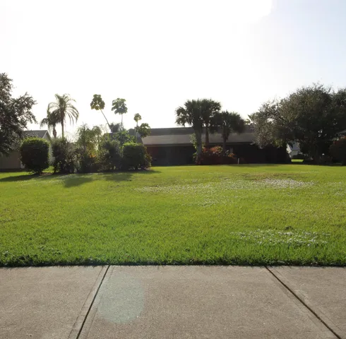 a view of a big yard with plants and large trees