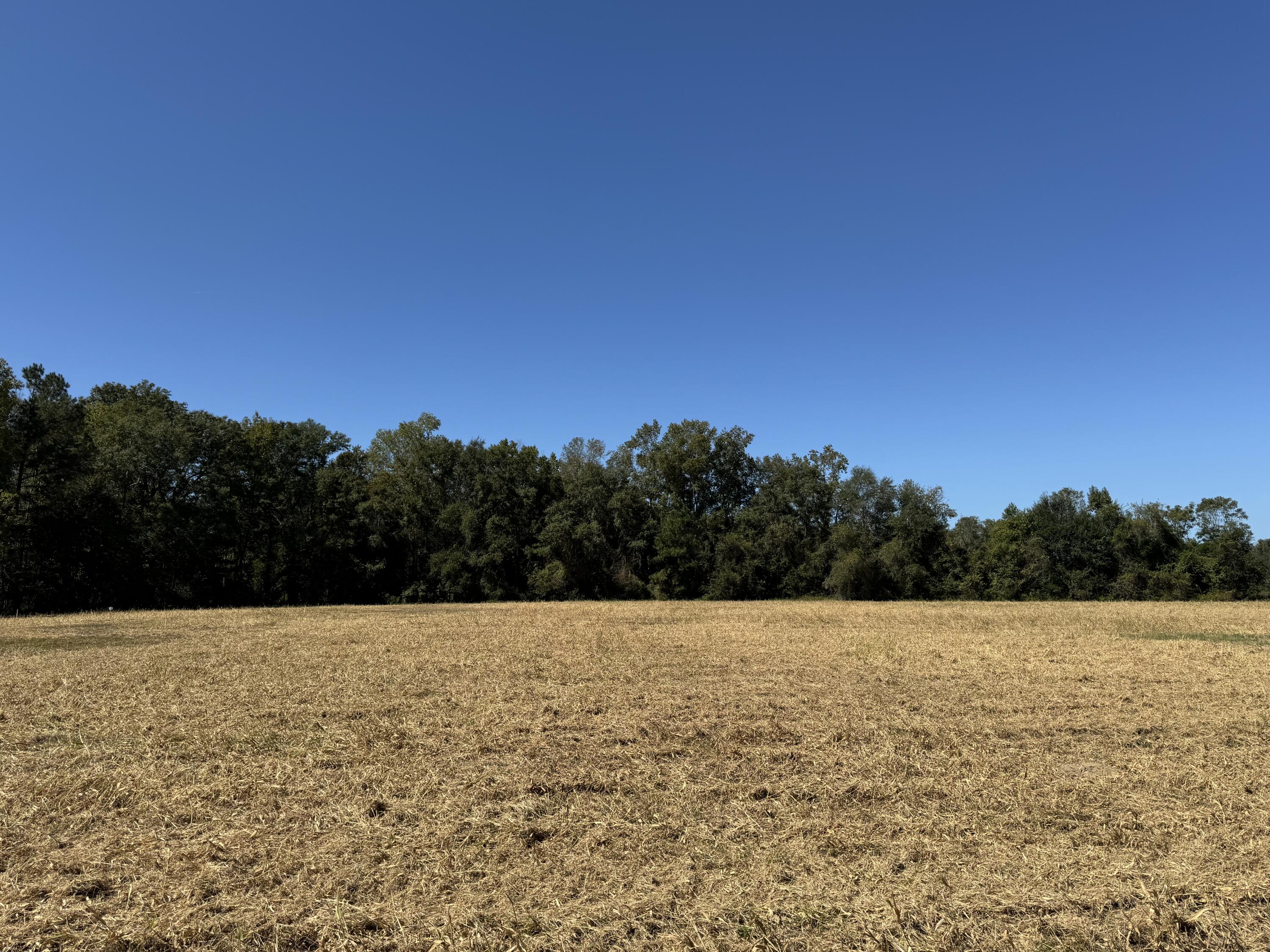 0 Clarks Hill Drive, Unit 4 St. George, SC 29477 - Photo 2 of 5 Lot 6 CHD