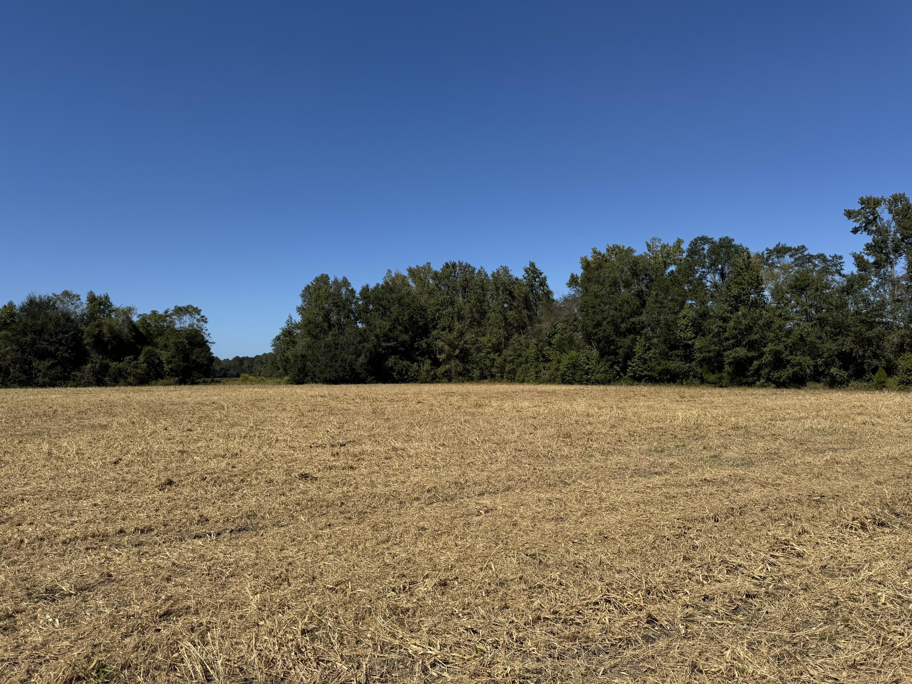 0 Clarks Hill Drive, Unit 4 St. George, SC 29477 - Photo 3 of 5 Lot 7 CHD