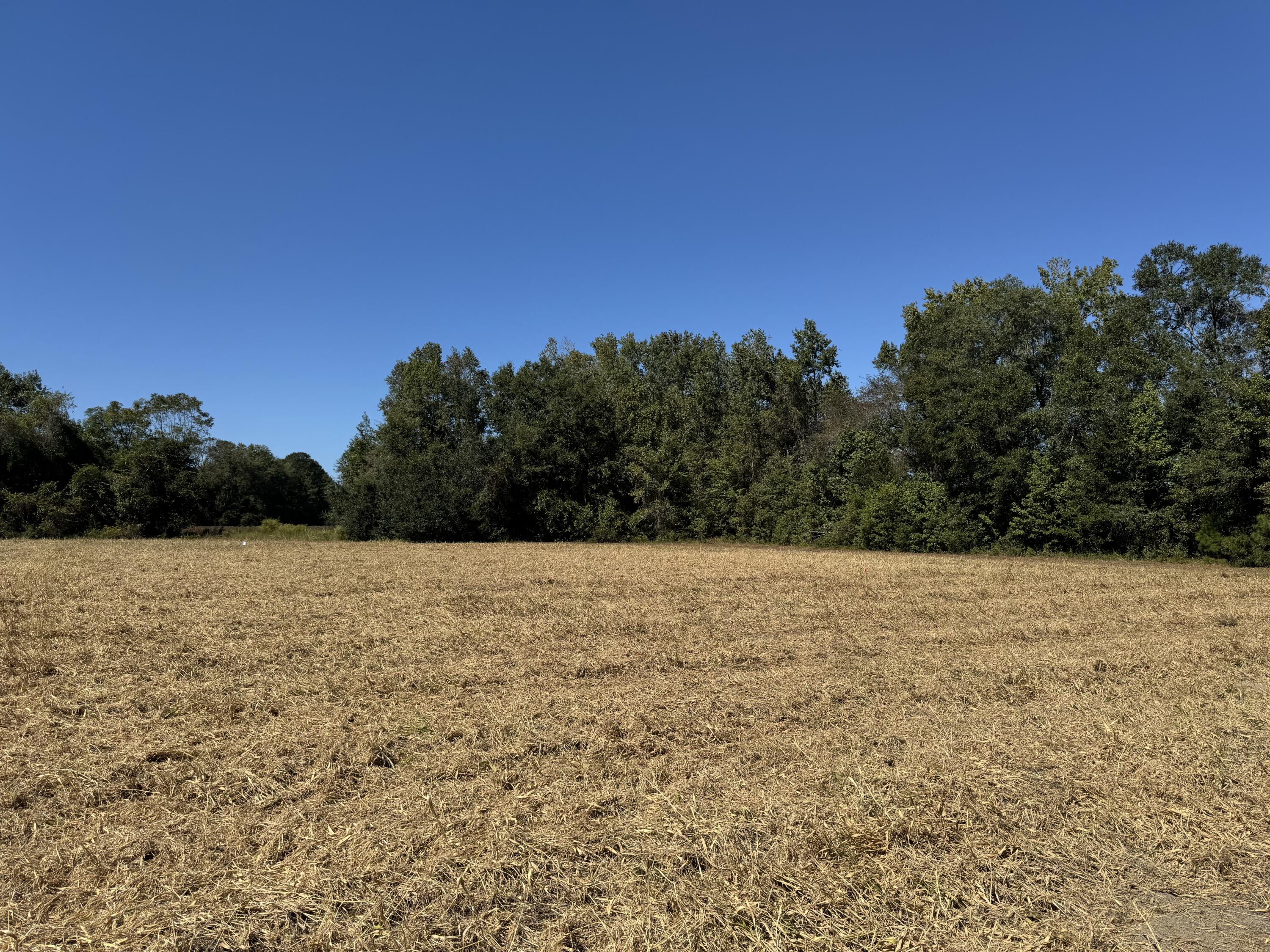 0 Clarks Hill Drive, Unit 4 St. George, SC 29477 - Photo 4 of 5 Lot 7 CHD1