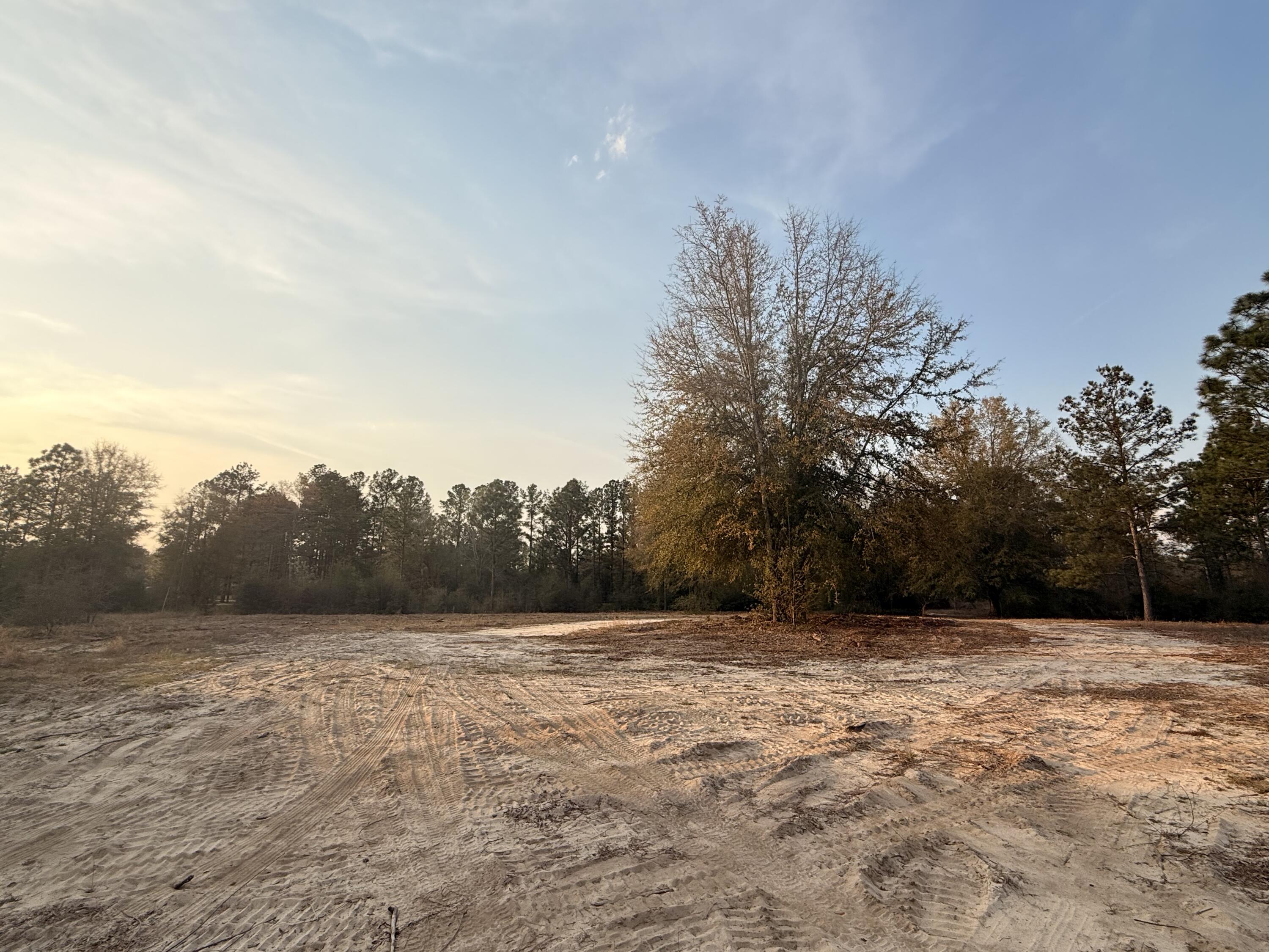 734 State Park Road Windsor, SC 29856 - Photo 3 of 12