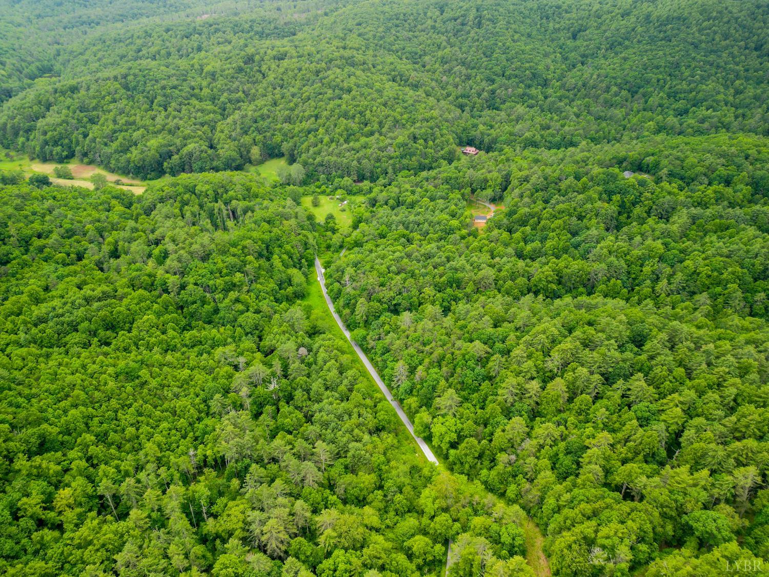 0 Pedlar River Road Vesuvius, VA 24483 - Photo 11 of 20 a view of a lush green forest