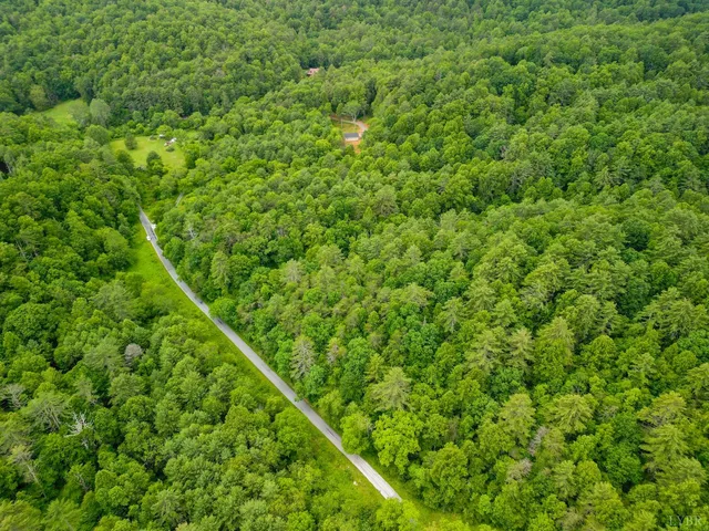 a view of a lush green forest with a lush green forest