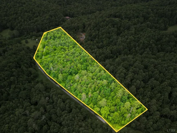 $99,900 | 0 Pedlar River Road, Vesuvius, VA 24483