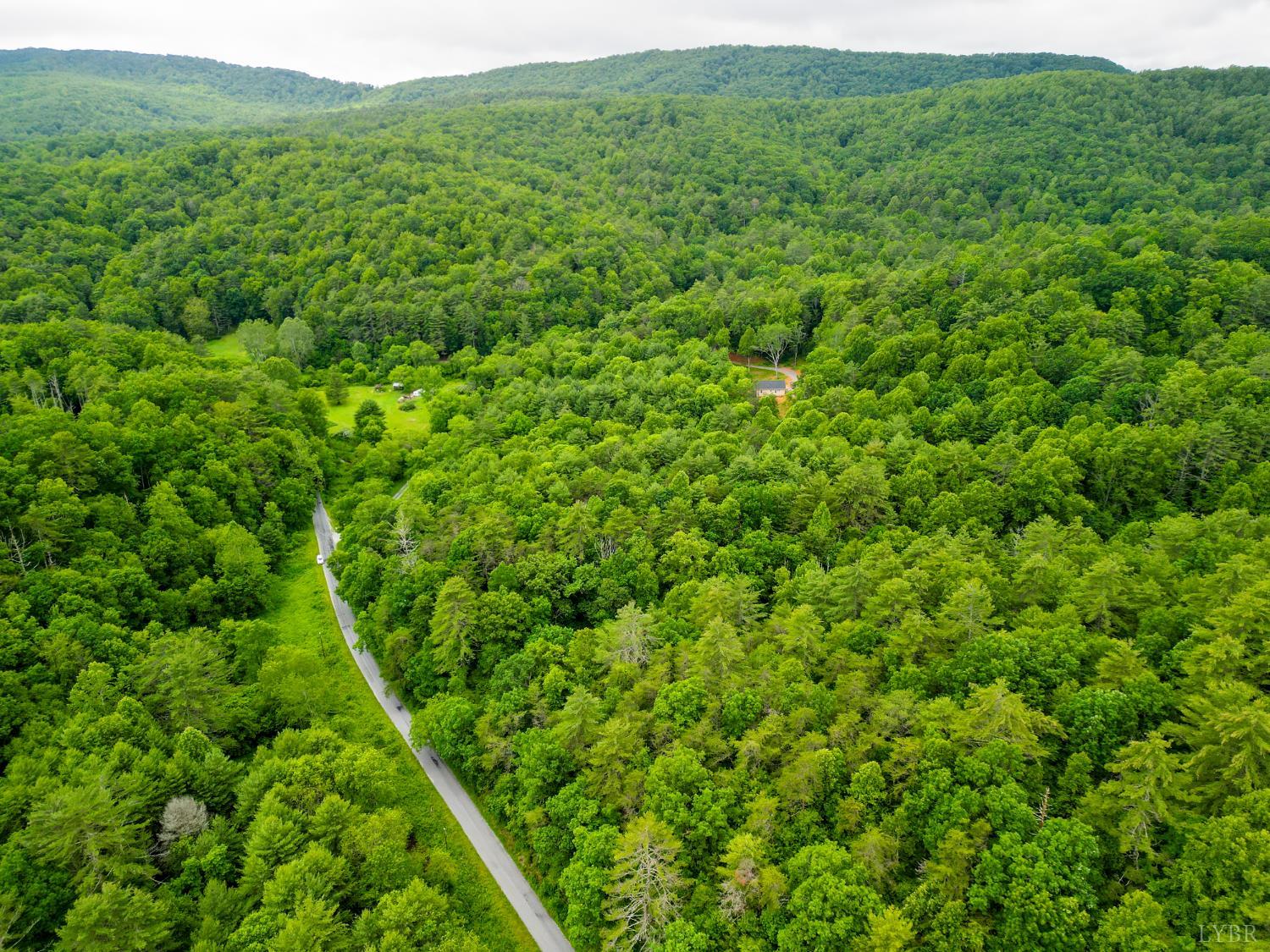 0 Pedlar River Road Vesuvius, VA 24483 - Photo 13 of 20 a view of a lush green forest with a lush green forest