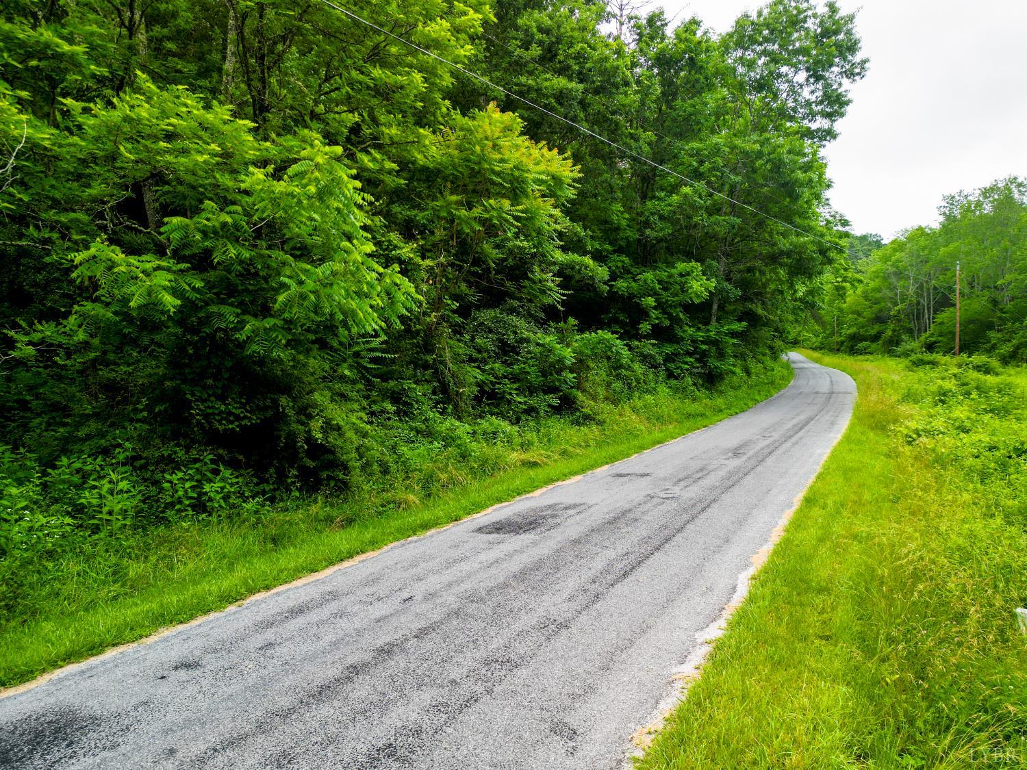 0 Pedlar River Road Vesuvius, VA 24483 - Photo 16 of 20 a view of a street with a park