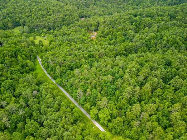 $99,900 | 0 Pedlar River Road, Vesuvius, VA 24483