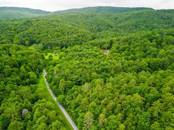 $99,900 | 0 Pedlar River Road, Vesuvius, VA 24483