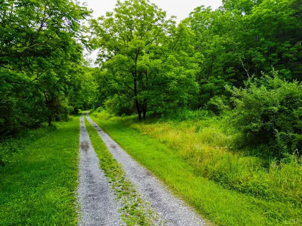 $99,900 | 0 Pedlar River Road, Vesuvius, VA 24483