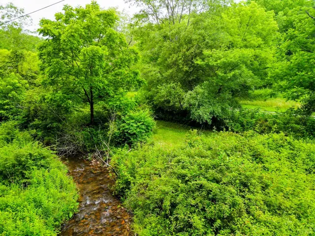 $99,900 | 0 Pedlar River Road, Vesuvius, VA 24483