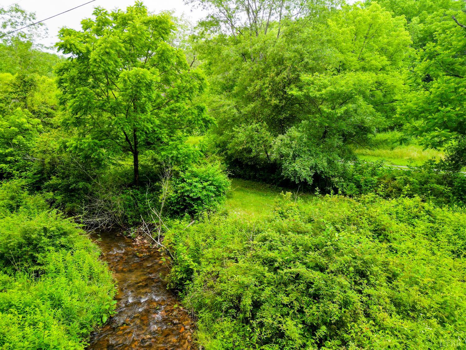 0 Pedlar River Road Vesuvius, VA 24483 - Photo 20 of 20 a view of a garden