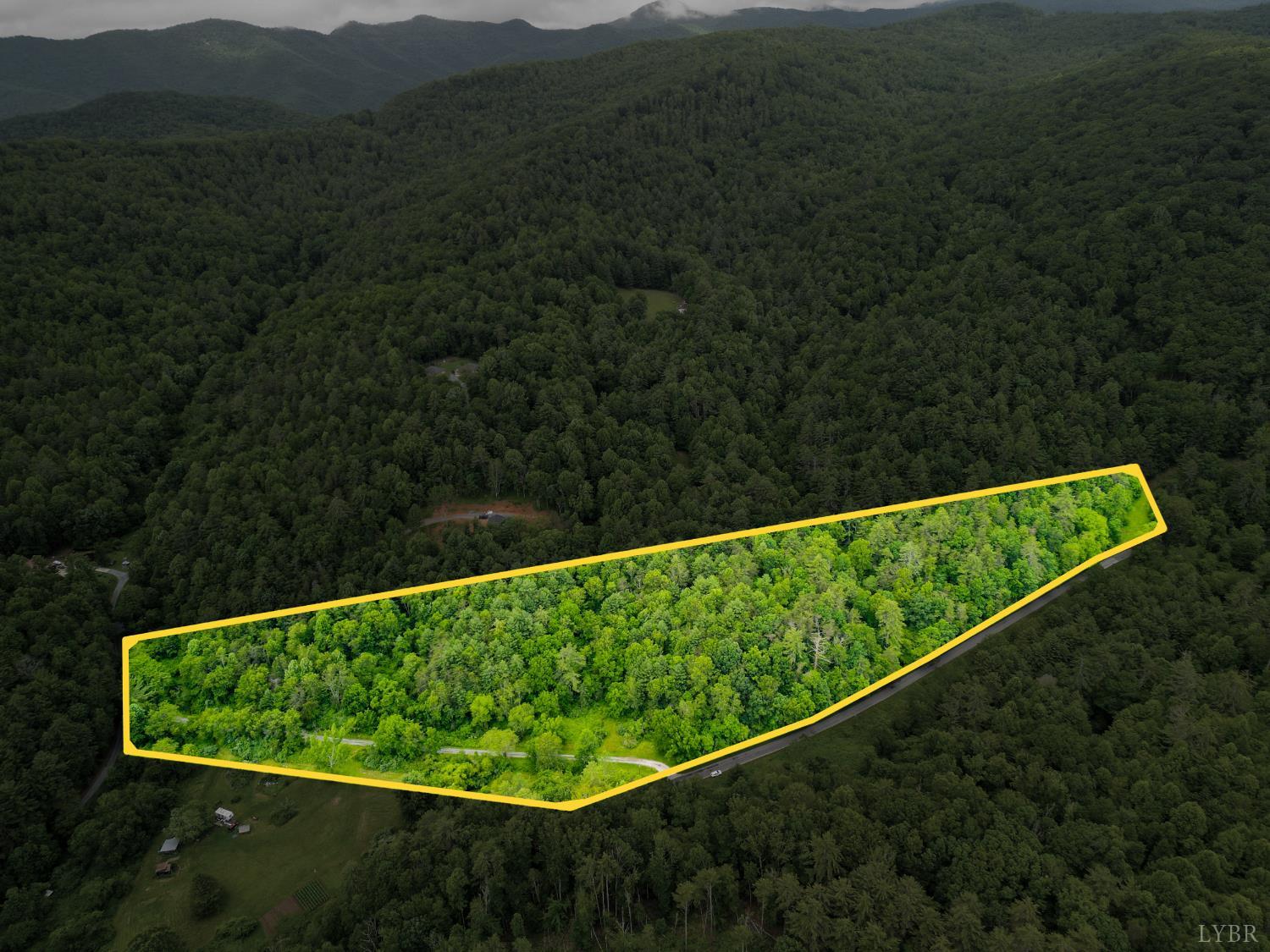 0 Pedlar River Road Vesuvius, VA 24483 - Photo 2 of 20