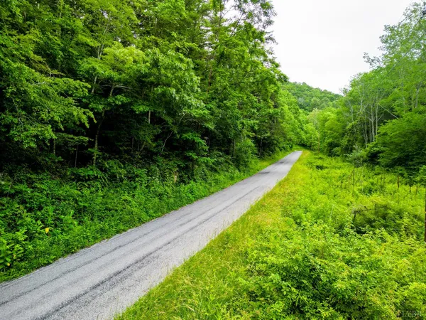 $99,900 | 0 Pedlar River Road, Vesuvius, VA 24483