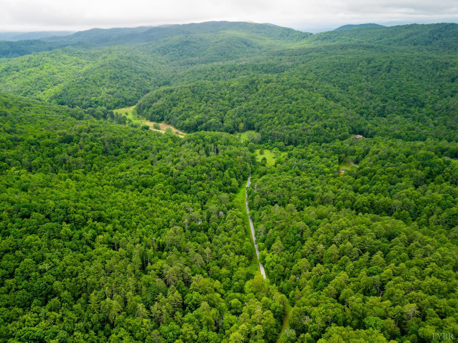 0 Pedlar River Road Vesuvius, VA 24483 - Photo 3 of 20 a view of a lush green forest with trees and some houses